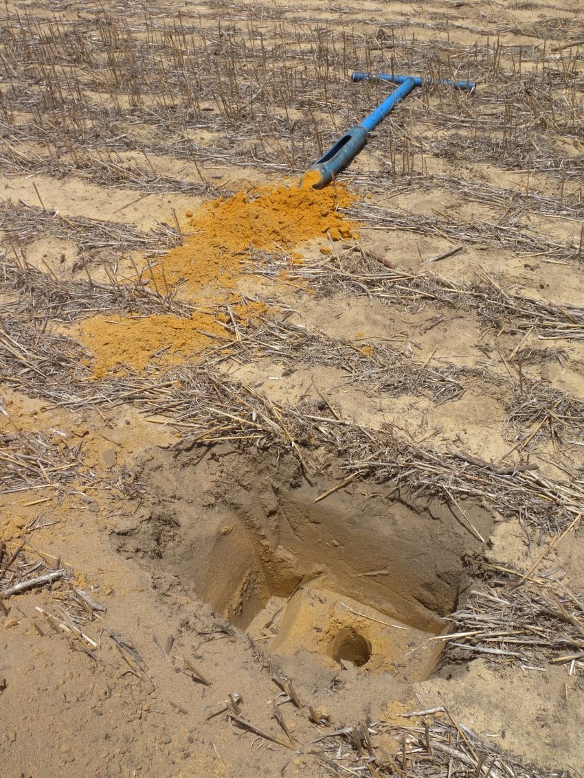 Bodallin, Western Australia