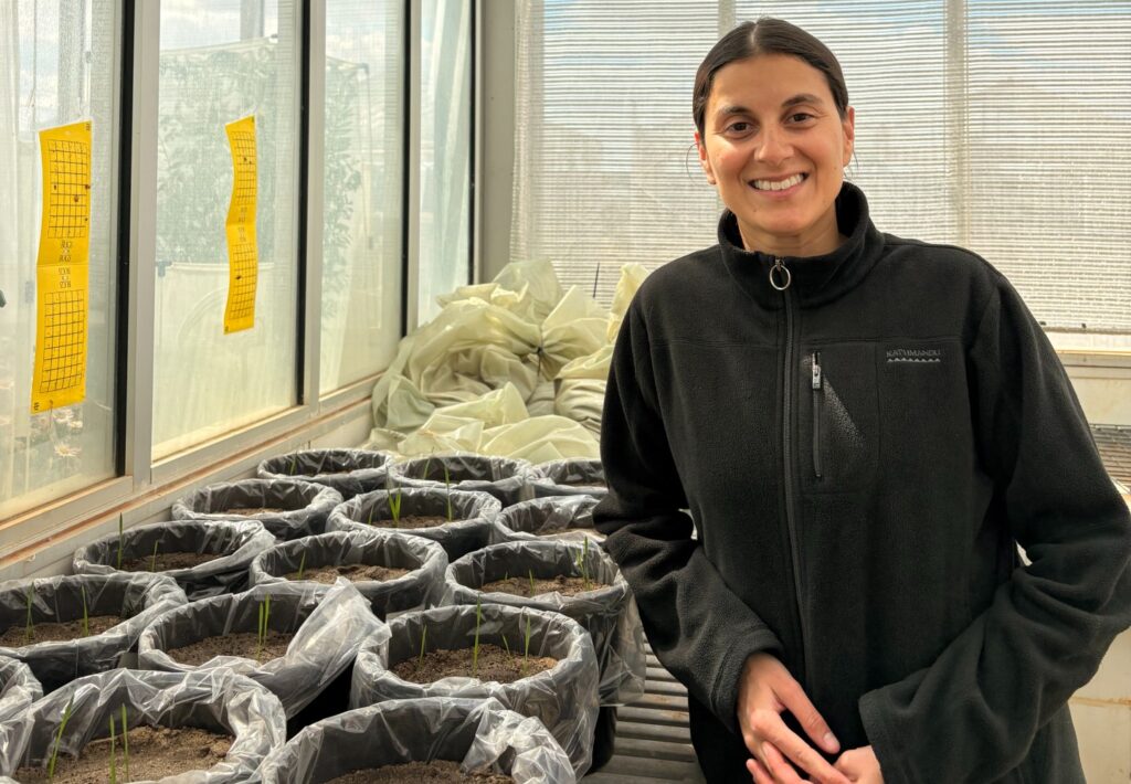 DPIRD Research Scientist Maria Pfeifle with her pot experiments