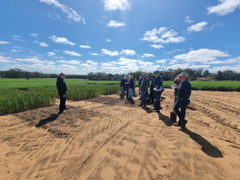 Senior Lecturer Wendy Vance addresses Murdoch University students at Bolgart in September 2025