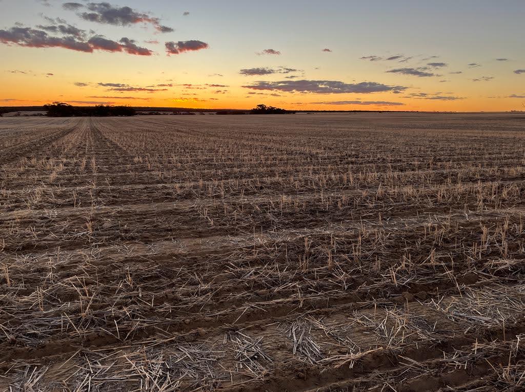 Sunset over a field