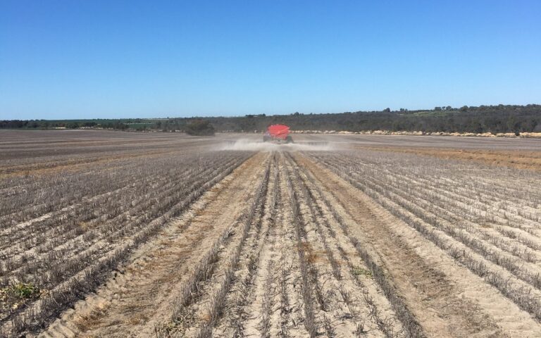 Lime spreading in action