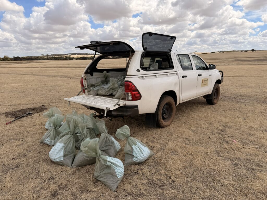 Collecting soil at Wickepin for the Innovative Soil Technologies project