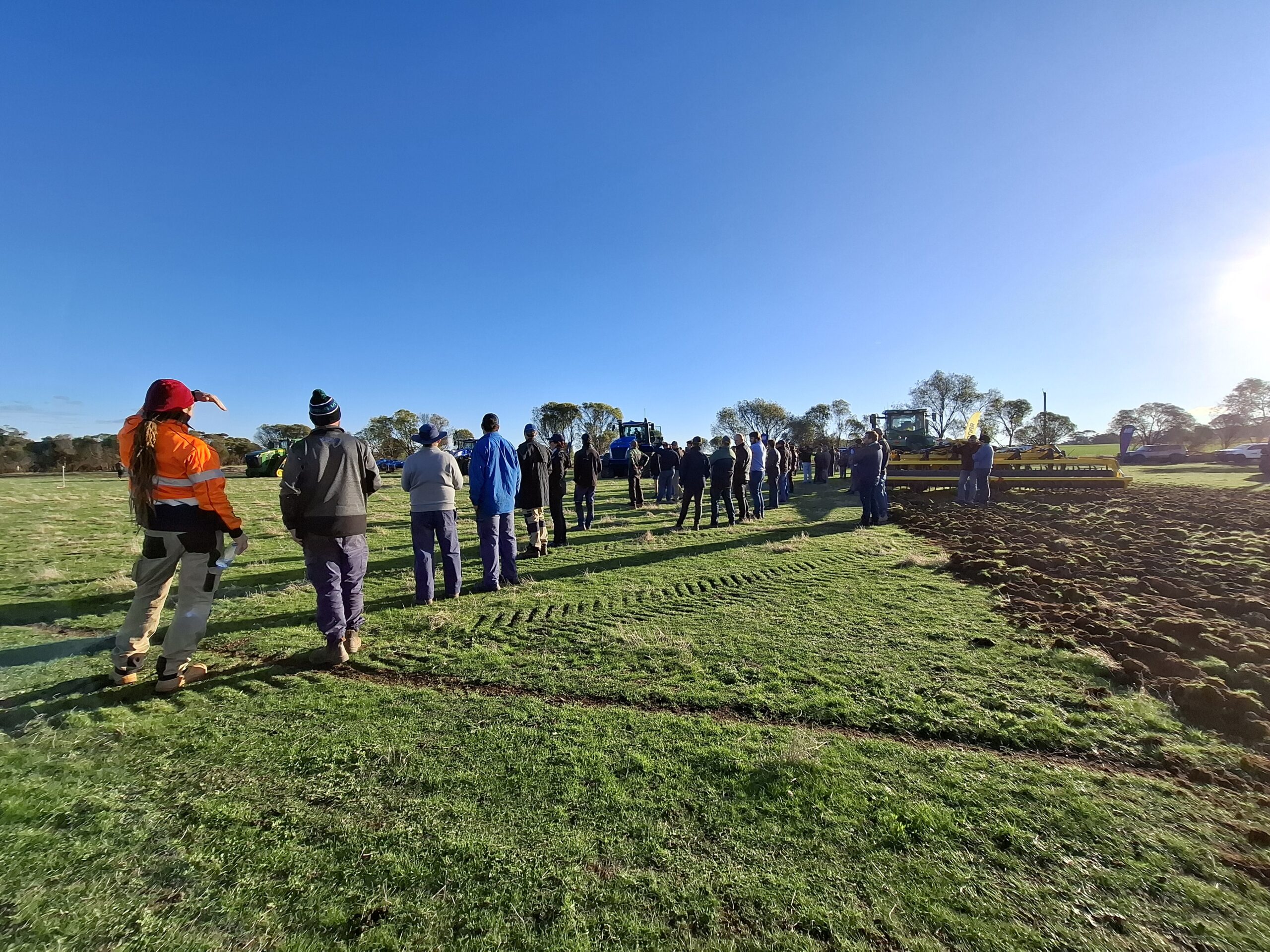 Growers in the field