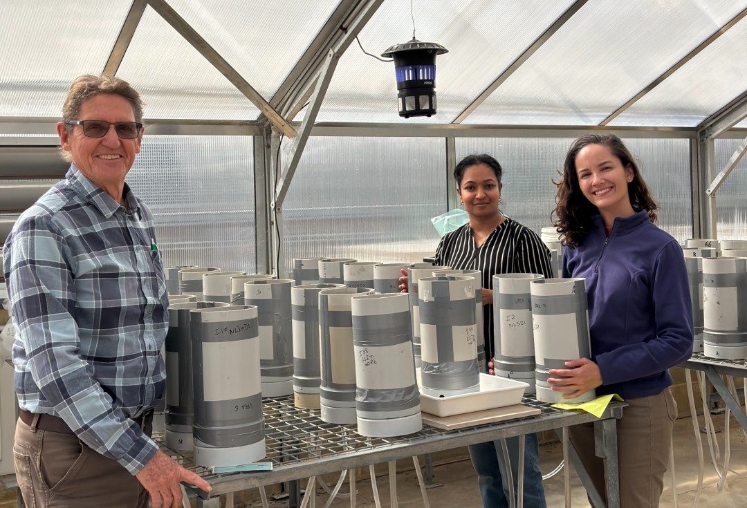 PhD candidate Izabella Araujo with the School of Agricultural Sciences' Emeritus Professor Richard Bell and Dr Karthika Pradeep
