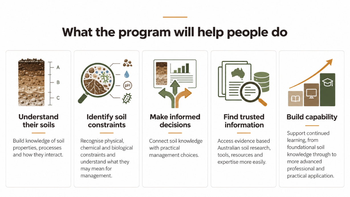 What NSEO will help people do