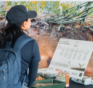 NSEO is developing a national gateway to trusted Australian soil knowledge, learning and practical resources