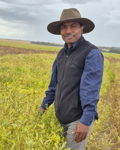 Gaus Azam stands within a lupin crop on re-engineered soil at Bolgart
