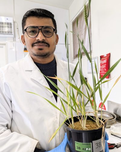 Ramesha H Jayaramaiah